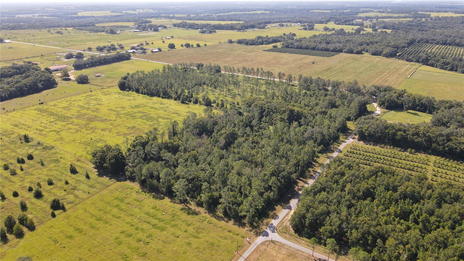 The subject property is a 10-acre gently rolling lot nestled in the hills of north Dade City. The lot is carved from a 40-acre parcel consisting of four 10-acre lots known as Amberlea Estates. It is mostly wooded and is accessible via 332 feet of frontage on Amberlea Road. Additionally, the site is tucked away allowing for a private, rural setting while still being in close proximity to modern conveniences. The property appears to be high and dry. Zoning is AC (Agricultural District), which allows for 1 unit per 10 acres, and future land use is AG/R (Agricultural Rural), which allows for 1 unit per 5 acres. Utilities are well and septic. There is a 6-inch well on site that is permitted for an average GPD of 16,900, peak GPD of 69,200, and max GPD of 517,000.
The property is located in Dade City on Amberlea Road in scenic northern Pasco County. Its proximity to I-75 allows for quick travel times to Wesley Chapel (20 minutes), downtown Tampa (40 minutes), Tampa International Airport (40 minutes), St. Petersburg (1 hour), Ocala (1 hour), and Orlando (1 hour 20 minutes). Local shopping, schools and medical are all within 15 minutes as well. Access is provided by taking Jessamine Road to Amberlea Road. Once on Amberlea, the property is 0.65 miles down on the right.