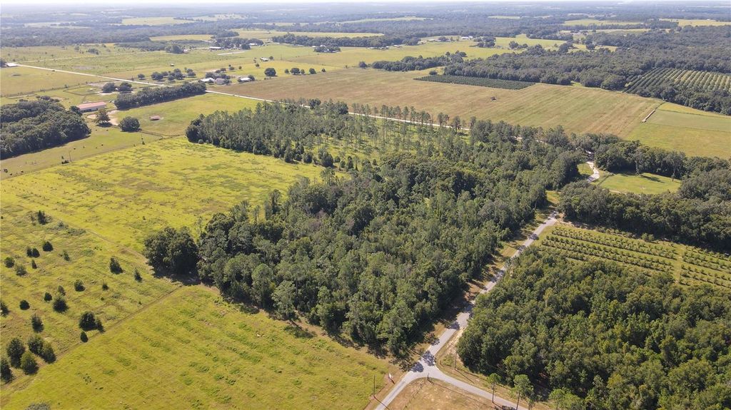 Photo of Amberlea Road, Dade City, FL 33523 (MLS # TB8347571)