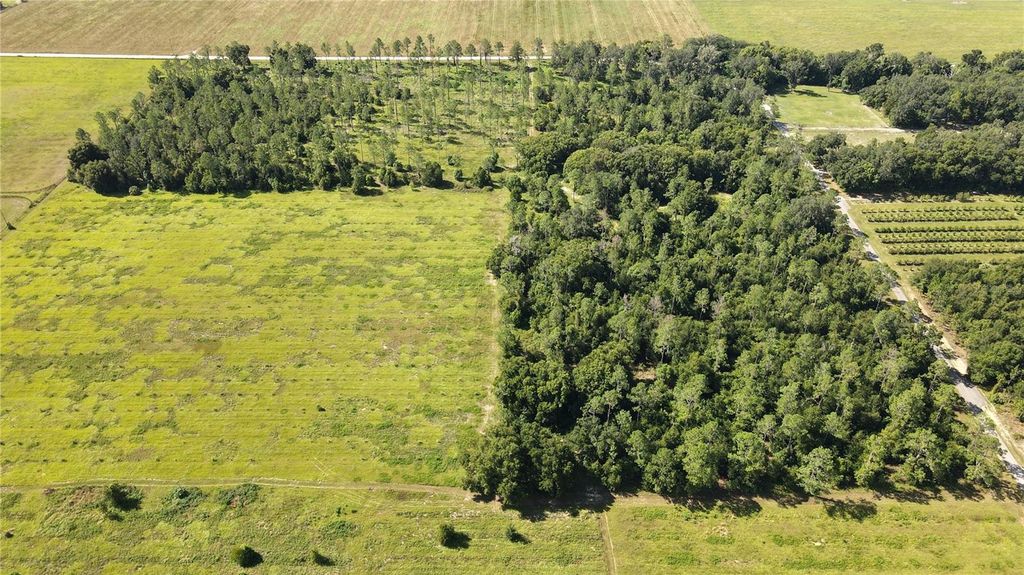 Photo of Amberlea Road, Dade City, FL 33523 (MLS # TB8347571)