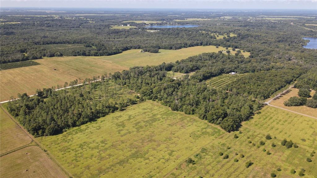Photo of Amberlea Road, Dade City, FL 33523 (MLS # TB8347571)