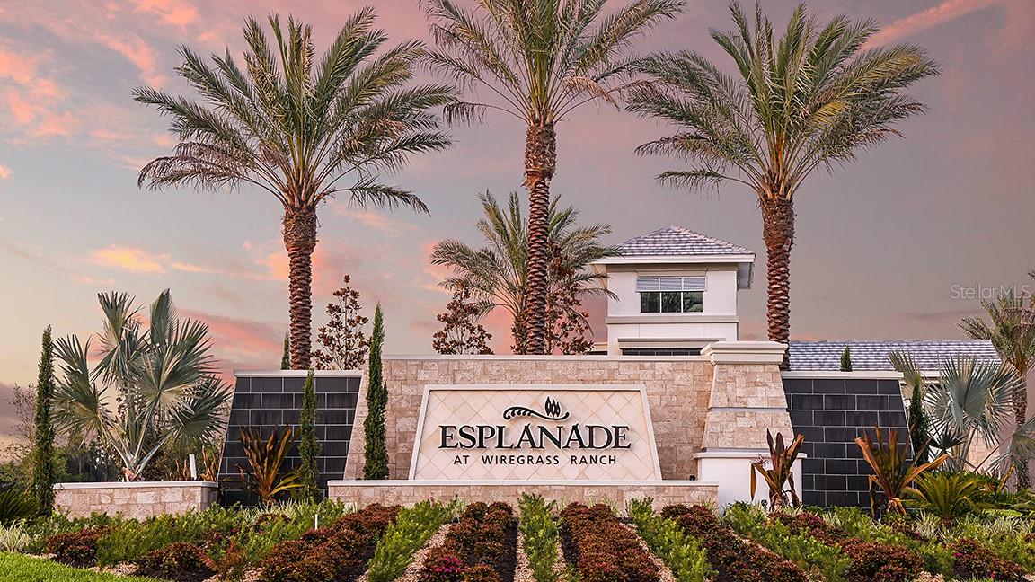 ESPLANADE AT WIREGRASS RANCH - Residential