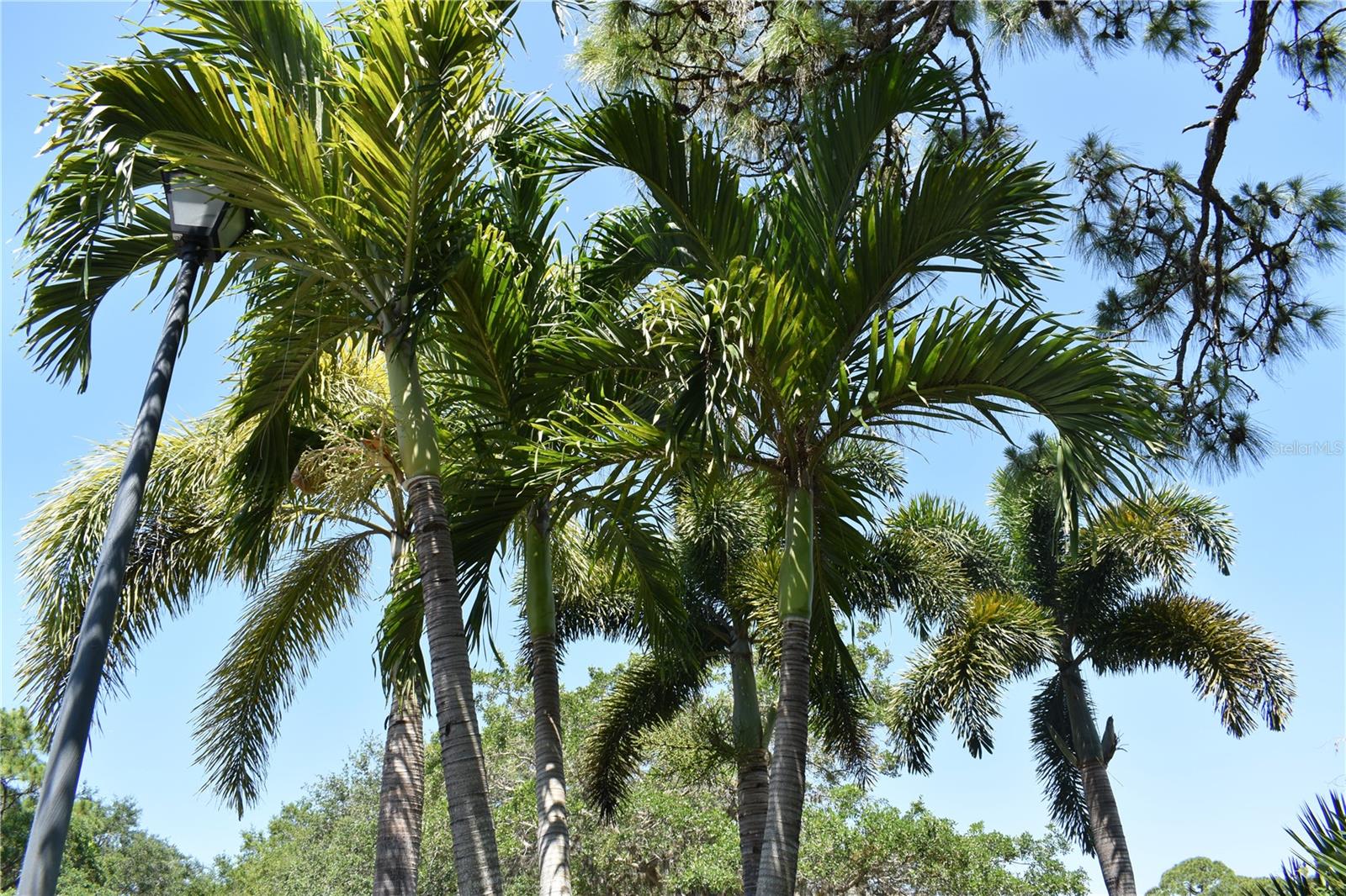 PORT CHARLOTTE SUB 06 - Residential