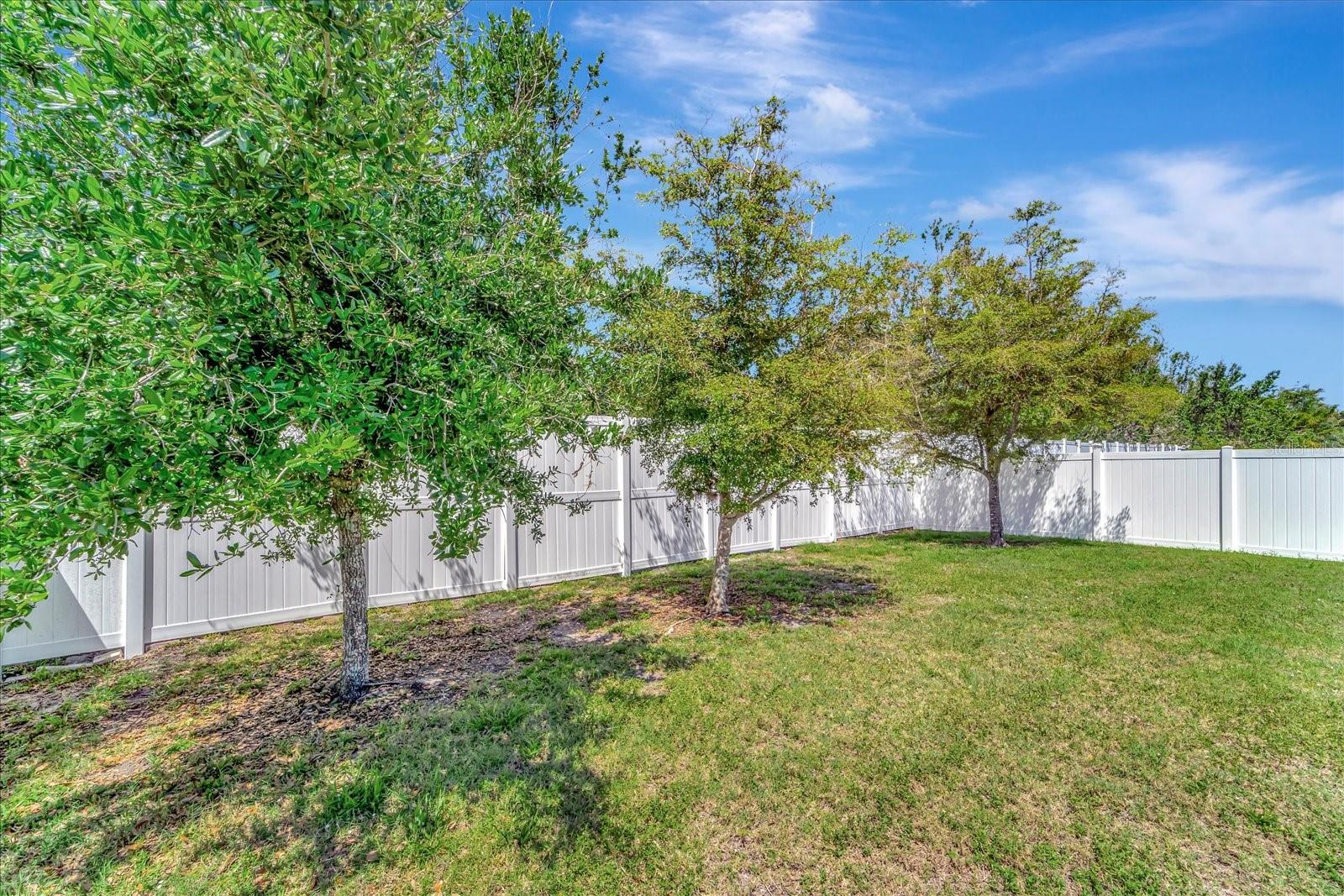 RAPALO - Residential