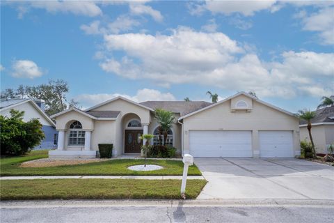 A home in RIVERVIEW