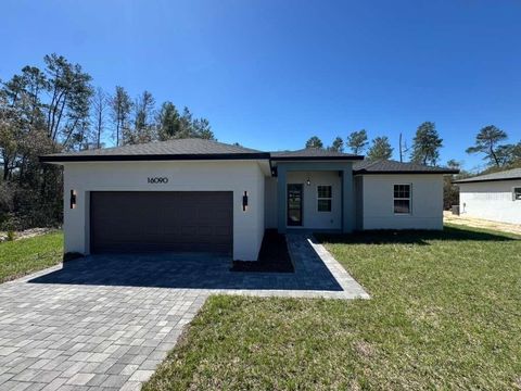 Photo of 16090 SW 35th Court Road, Ocala, FL 34473 (MLS # O6395060)