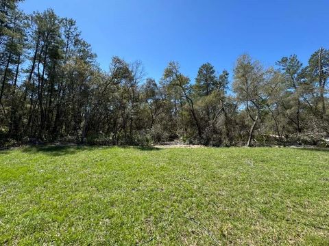 Tiny photo for 16090 SW 35th Court Road, Ocala, FL 34473 (MLS # O6395060)