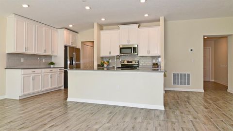 A home in MOUNT DORA