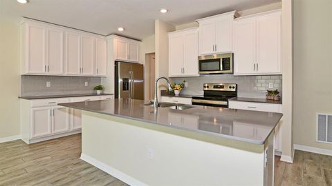 A home in MOUNT DORA