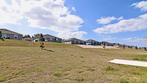 A home in MOUNT DORA