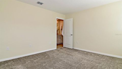 A home in MOUNT DORA