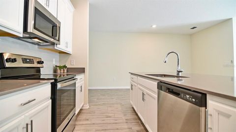 A home in MOUNT DORA