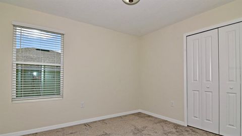 A home in MOUNT DORA