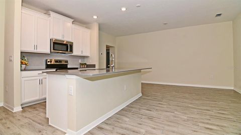 A home in MOUNT DORA