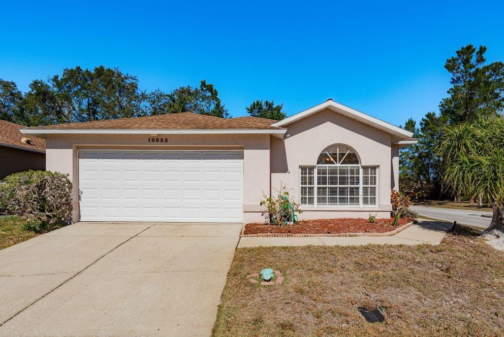 Photo of 10933 Belmont Drive, New Port Richey, FL 34654 (MLS # TB8471963)