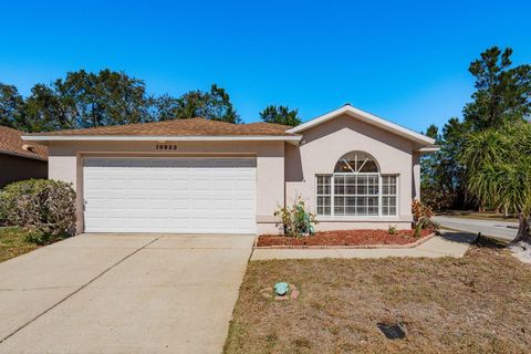 Photo of 10933 Belmont Drive, New Port Richey, FL 34654 (MLS # TB8471963)
