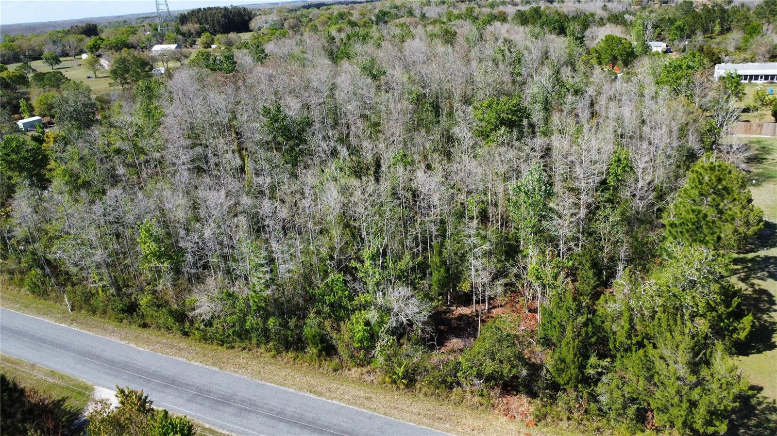 CANAVERAL ACRES 1 - Land