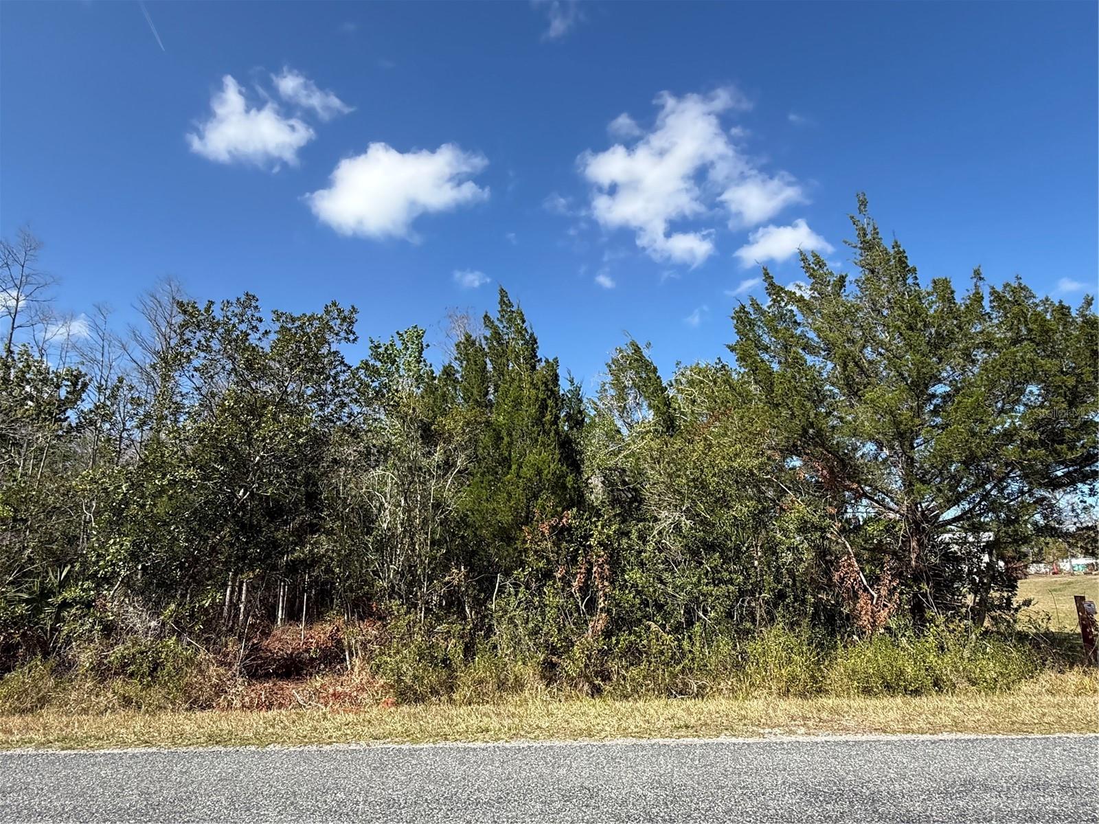 CANAVERAL ACRES 1 - Land