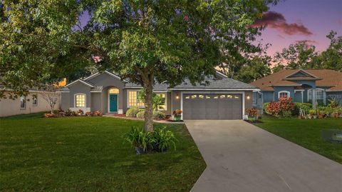 2113 WOLF RIDGE LANE MOUNT DORA FL 32757