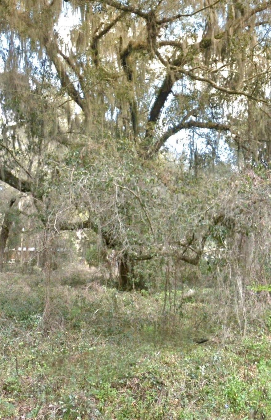 Seller will finance. (2) 1.04 ACRE LOTS SIDE BY SIDE totaling 2.08 acres located in Citra, FL for 35,900. A1 zoning, minutes to I-75 and a hop, skip, and jump to Gainesville or Ocala. This property is about 20 miles to the World Equestrian Center & minutes to Orange Lake offering tons of outdoor activities. Call today! DIRECTIONS FOR GOOGLE MAPS GPS Center Coordinates: 29.430407, -82.041522. (2) Parcel ID's 04719-015-01 & 04719-015-00