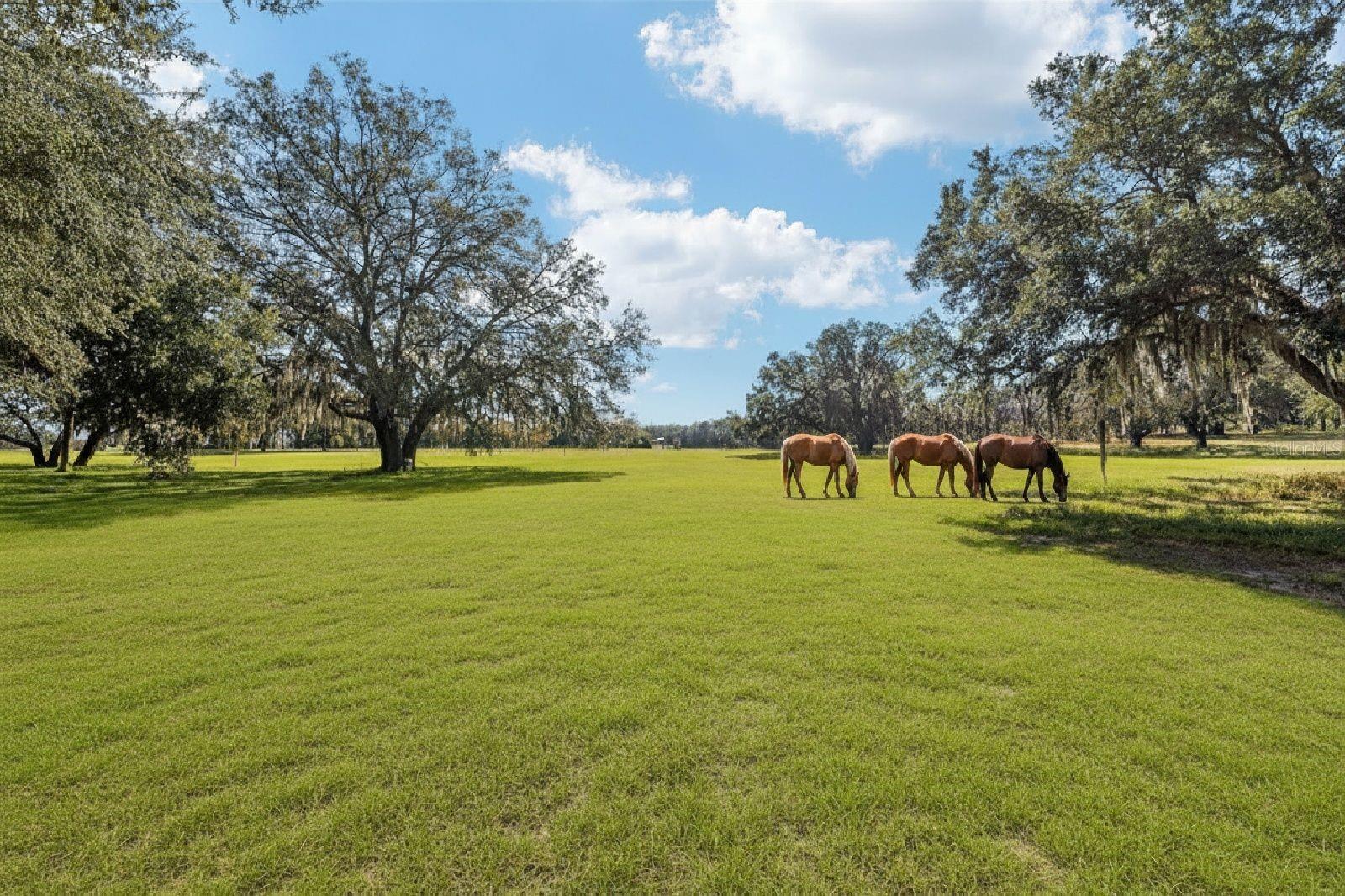 ACREAGE & UNREC - Residential