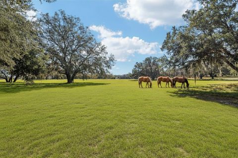 Tiny photo for 36203 Micro Racetrack Road, Fruitland Park, FL 34731 (MLS # G5110499)