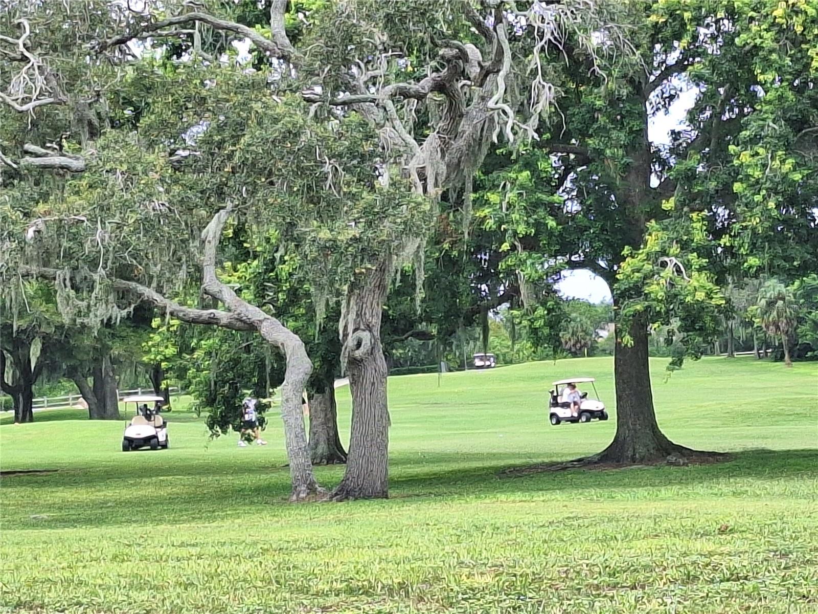 BEACON WOODS VILLAGE - Residential