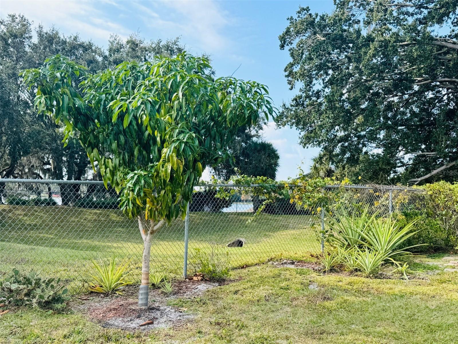 BAY LAKES AT GRANADA SEC 01 - Residential Lease