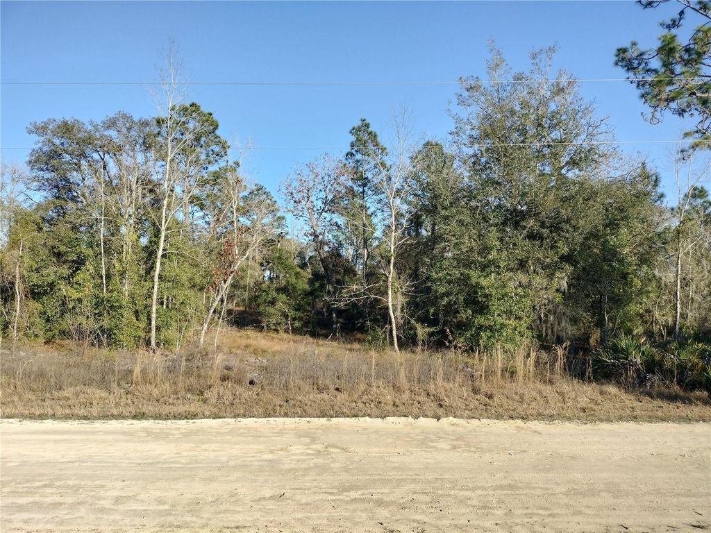 Photo of SE 136th Avenue, Morriston, FL 32668 (MLS # OM717150)
