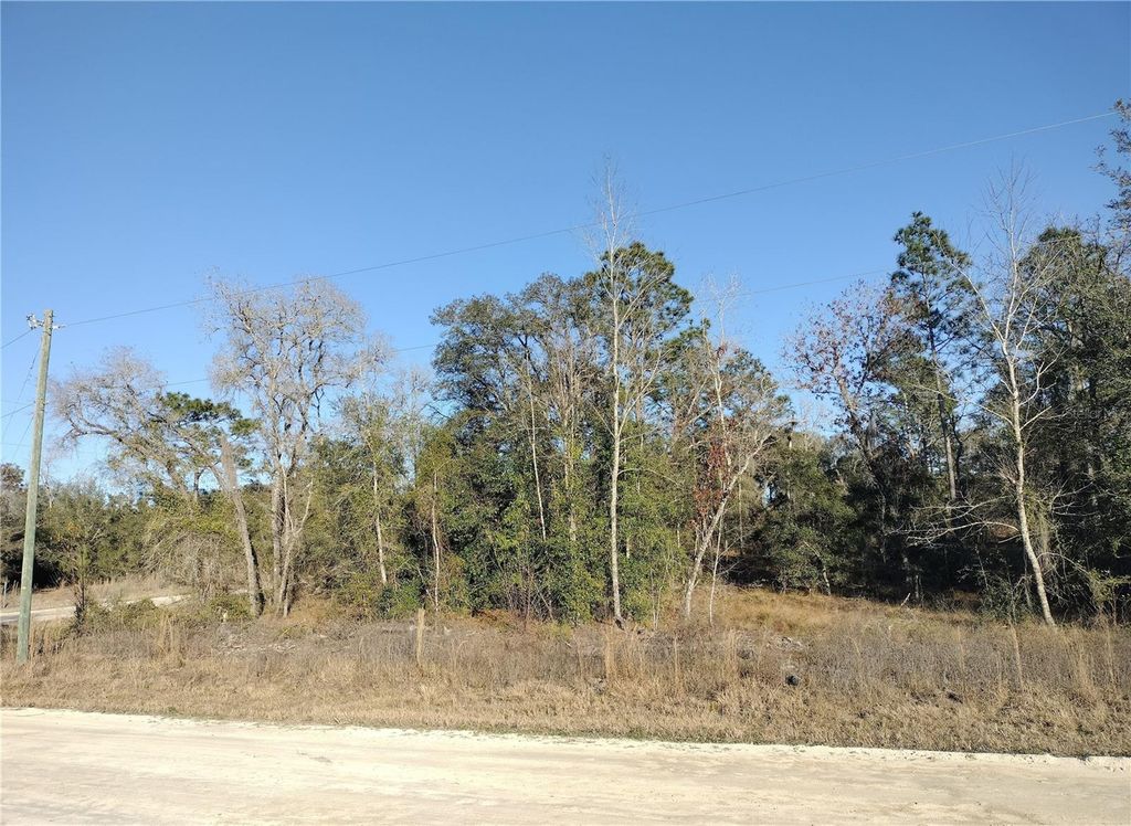 Photo of SE 136th Avenue, Morriston, FL 32668 (MLS # OM717150)