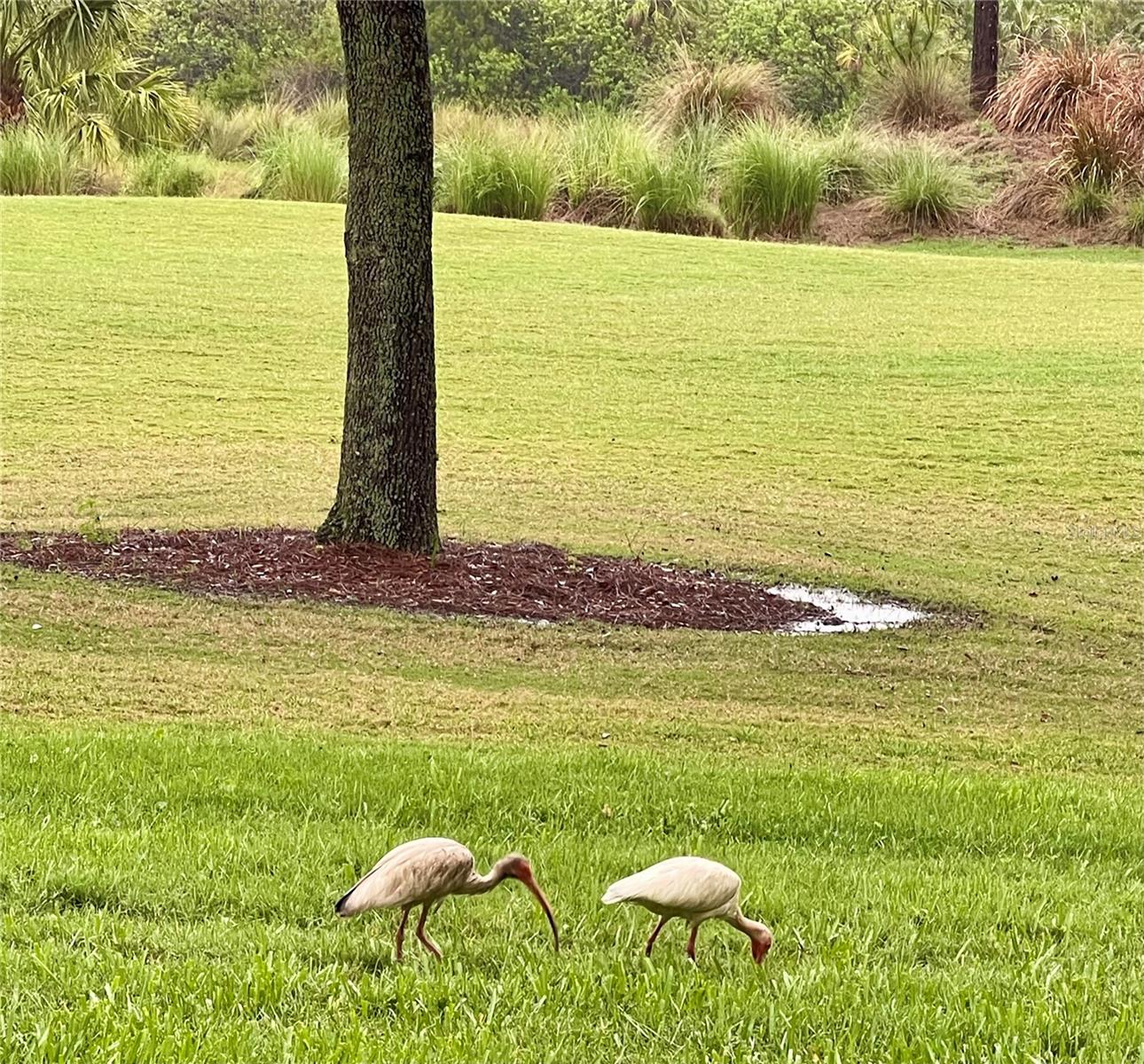 RIVER STRAND GRAND ESTUARY VI AT RIVER STRAND PH 2 - Residential Lease