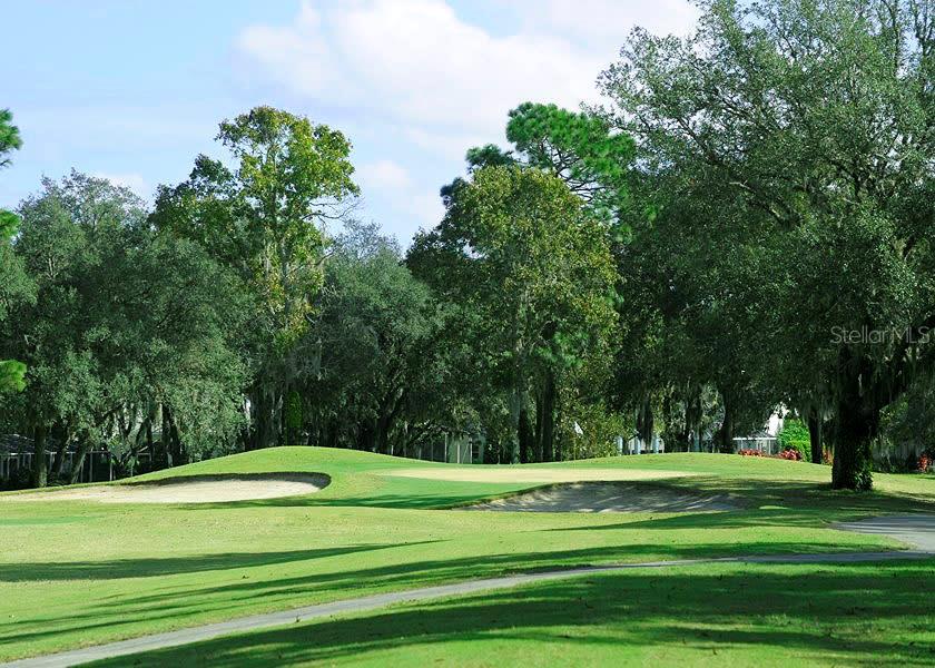 CITRUS HILLS 1ST ADD - Residential