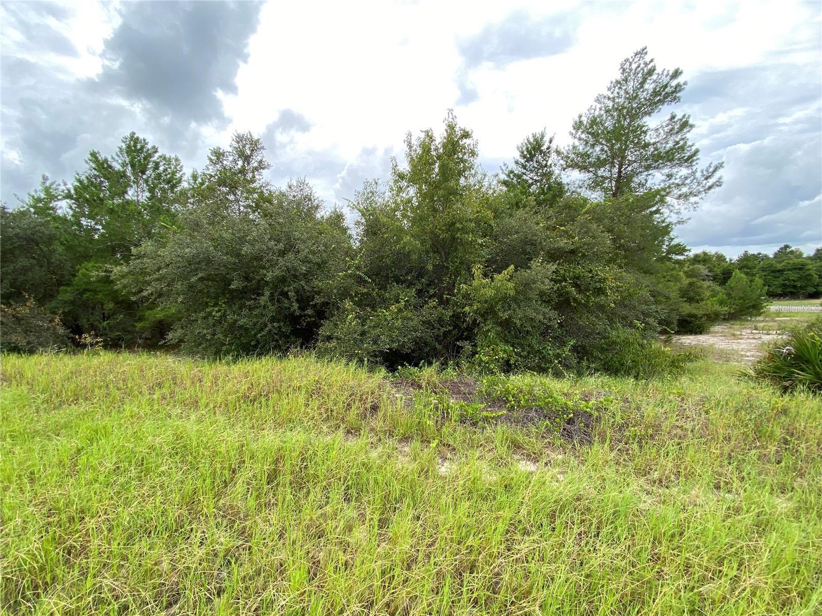Imagine securing one of the largest lots in this growing Kissimmee community without the usual financing hurdles. At 1362 Homosassa Drive, seller financing is available, giving you a rare and flexible path to ownership that makes taking the next step easier than ever. Whether you're ready to build your forever home or make a smart investment in a high-growth area, this spacious homesite offers the room and freedom to bring your vision to life.
With a peaceful greenbelt behind the property, you'll enjoy added privacy and a natural buffer that enhances the sense of space. The location balances tranquility with convenience, just minutes from schools, shopping, medical offices, restaurants, and all the everyday essentials. It's a neighborhood that’s expanding steadily while maintaining its welcoming character, and the low HOA fees keep your long-term costs manageable.
There's something special about finding a piece of land that speaks to both your heart and your plans for the future. This property gives you the chance to build something meaningful without being limited by traditional financing.
The seller is open and ready to work with the right buyer. Reach out today to learn more about the flexible terms and to schedule a walk of the property. You won’t want to miss this opportunity.