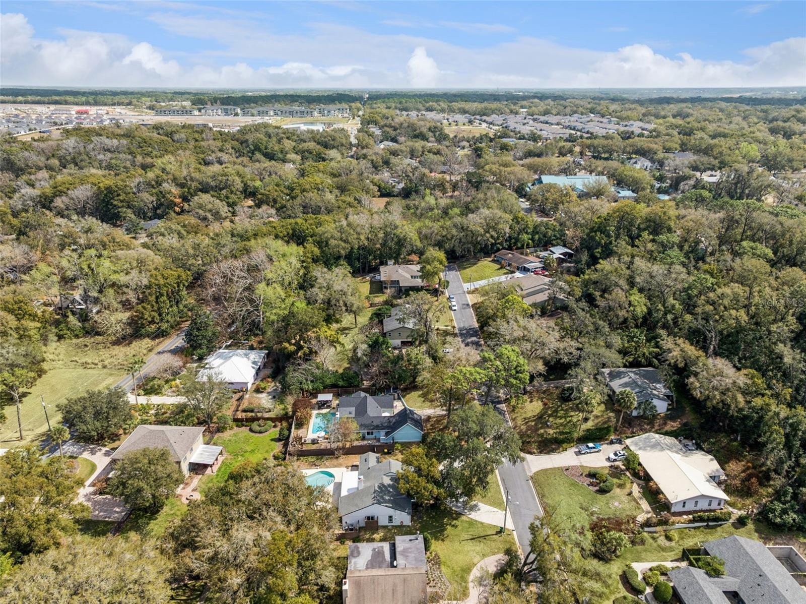 MOUNT DORA FOREST HEIGHTS - Residential