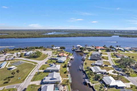 A home in PUNTA GORDA