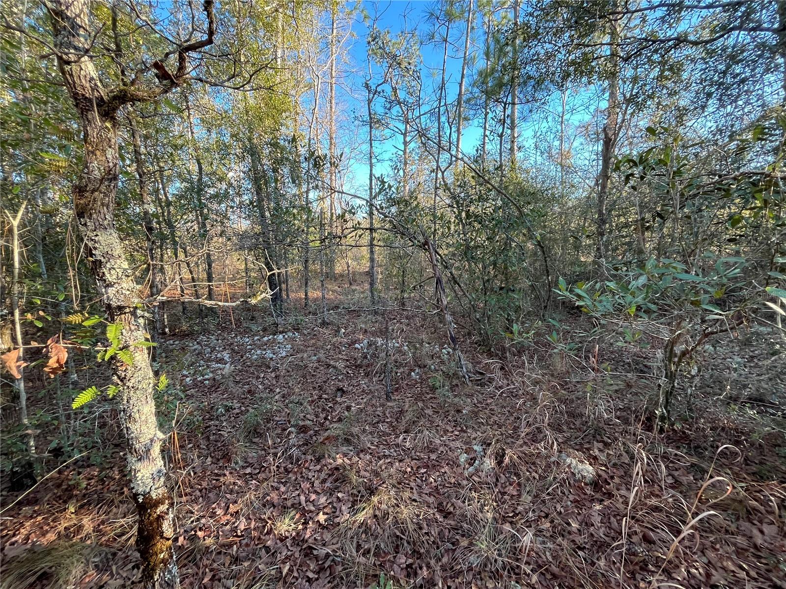 COMPASS LAKE HILLS - Land