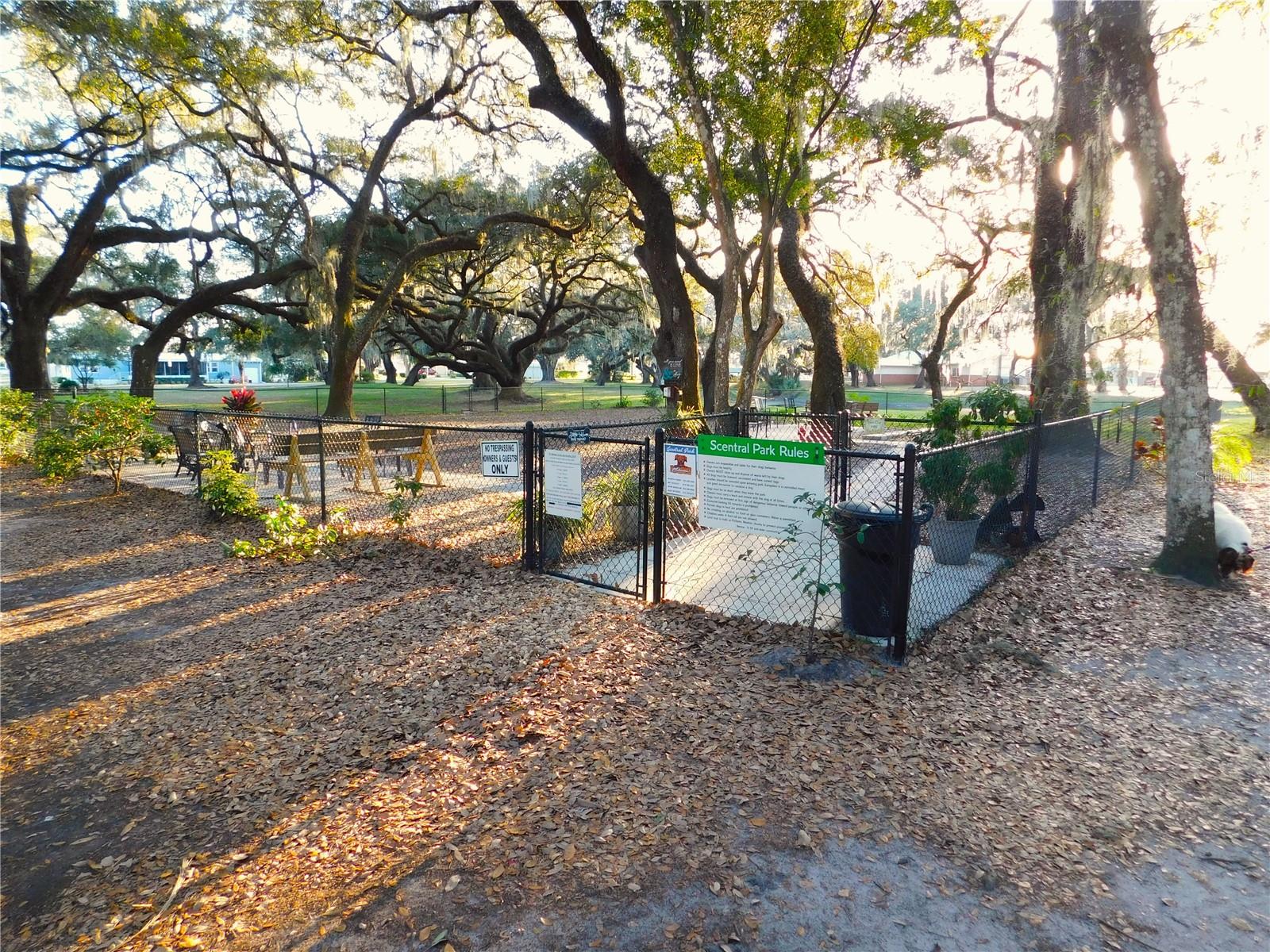 BETMAR ACRES - Residential