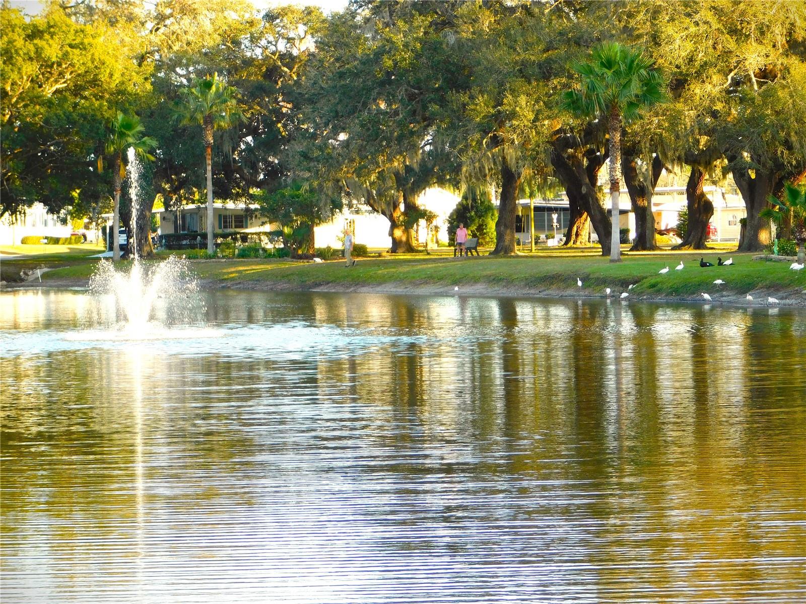 BETMAR ACRES - Residential