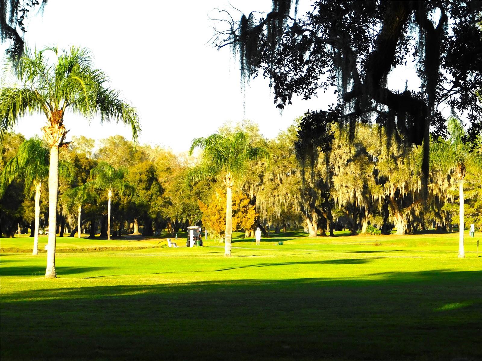 BETMAR ACRES - Residential