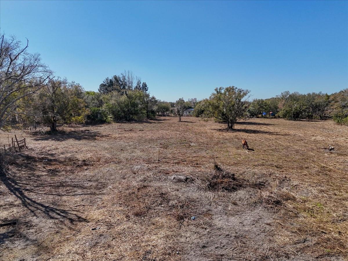 AUDUBON PLACE - Land