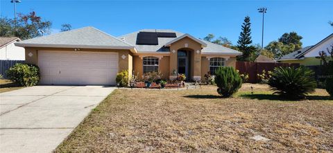 A home in DELTONA