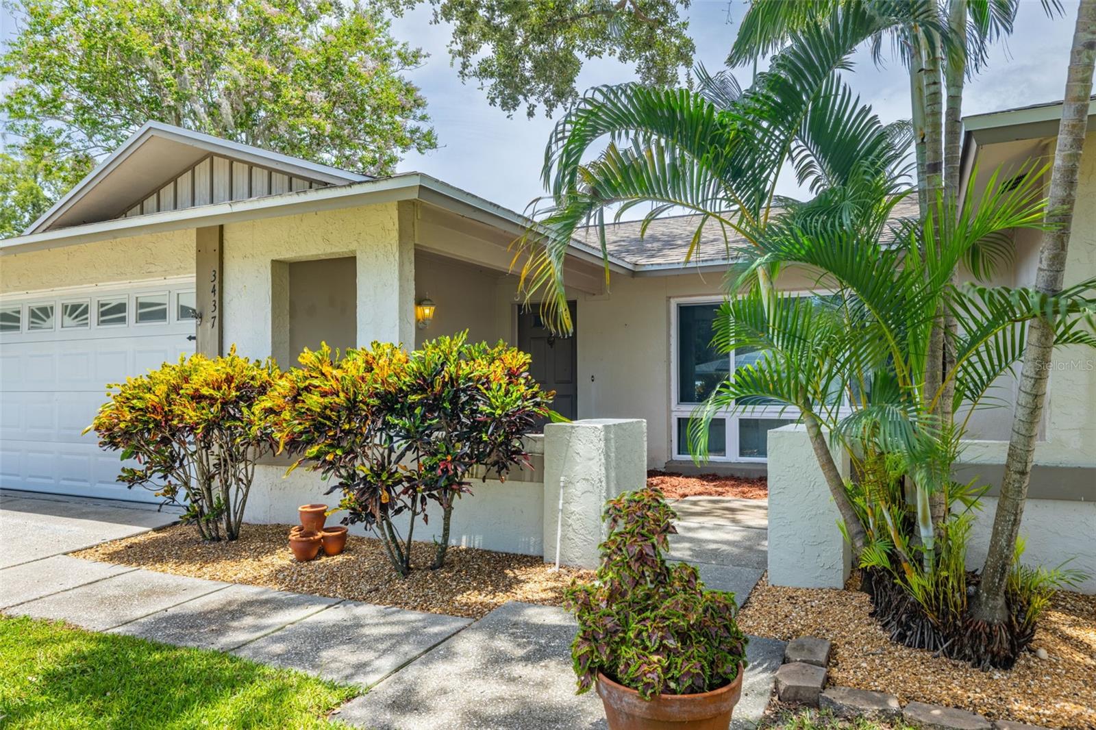 3437 DOVE HOLLOW COURT