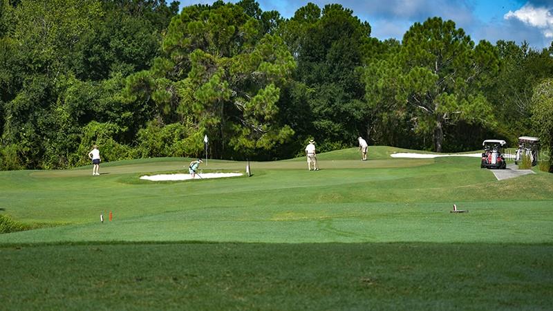 TAMPA BAY GOLF TENNIS CLUB PH 03A - Residential