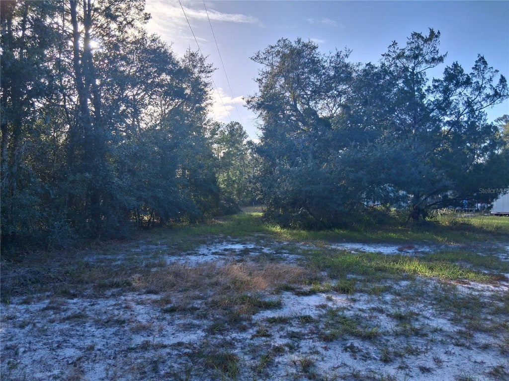 Photo of 1875 Alameda Drive, De Leon Springs, FL 32130 (MLS # V4952039)