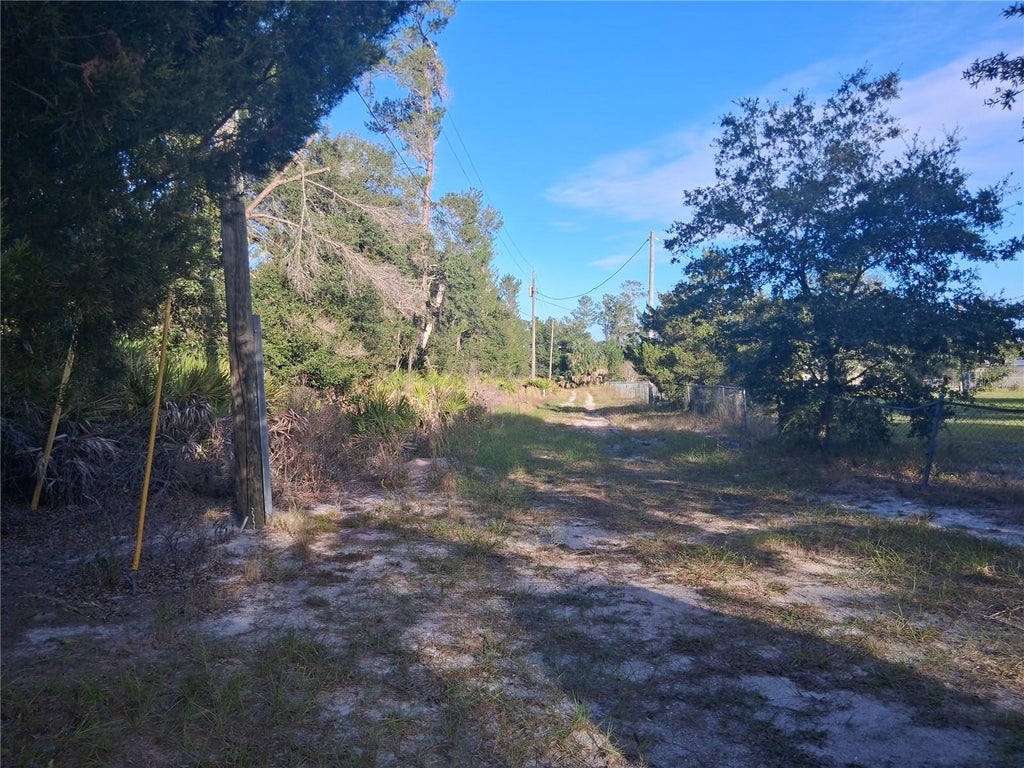 Photo of 1875 Alameda Drive, De Leon Springs, FL 32130 (MLS # V4952039)