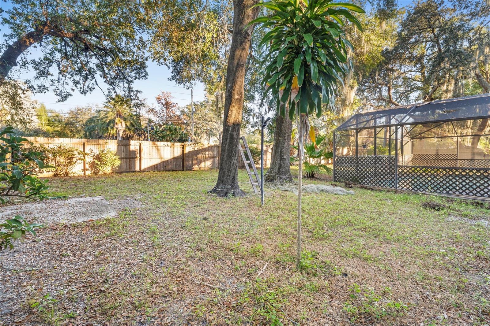 MAGNOLIA VILLAGE - Residential