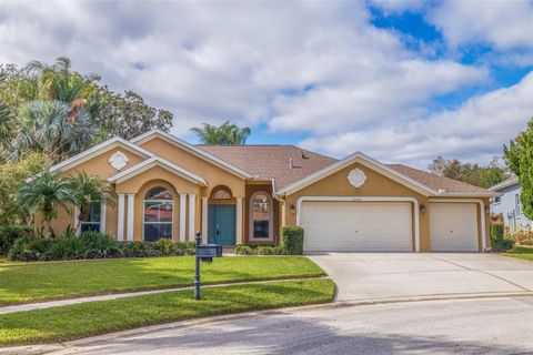 Single Family Residence in VALRICO FL 5102 COOPERS HAWK COURT.jpg