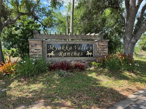 Photo of Myakka Valley Trail, Sarasota, FL 34241 (MLS # A4689454)