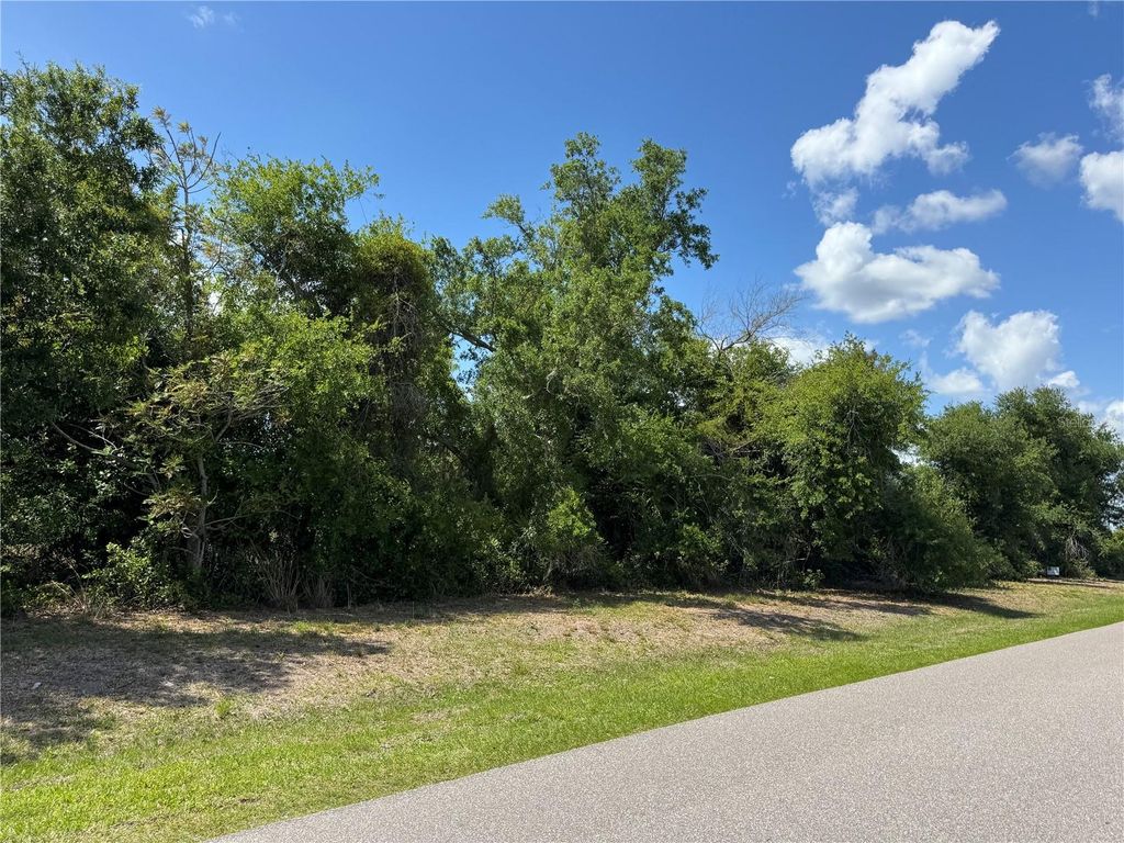 Photo of Myakka Valley Trail, Sarasota, FL 34241 (MLS # A4689454)