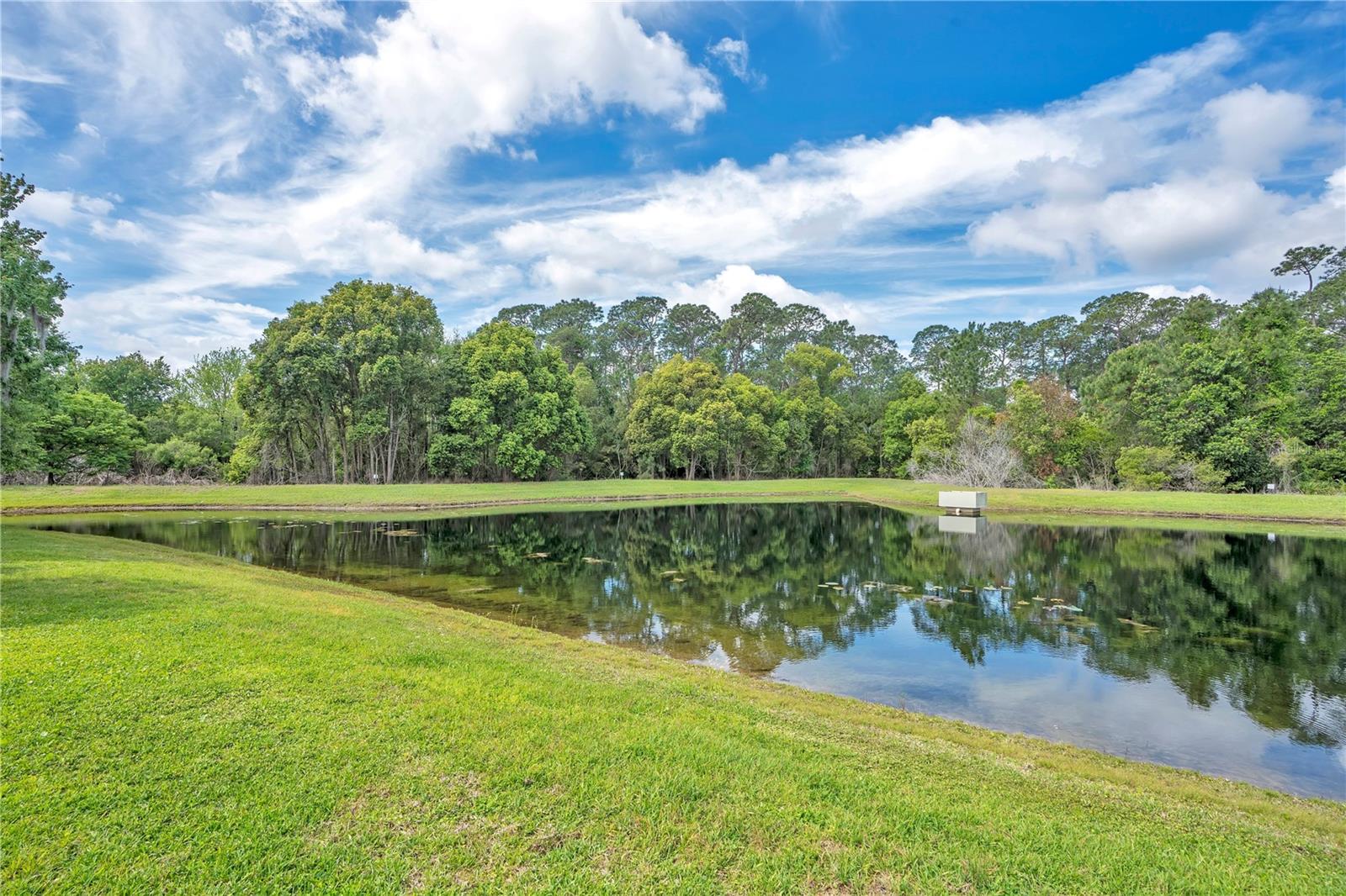 CYPRESS CHASE - Residential