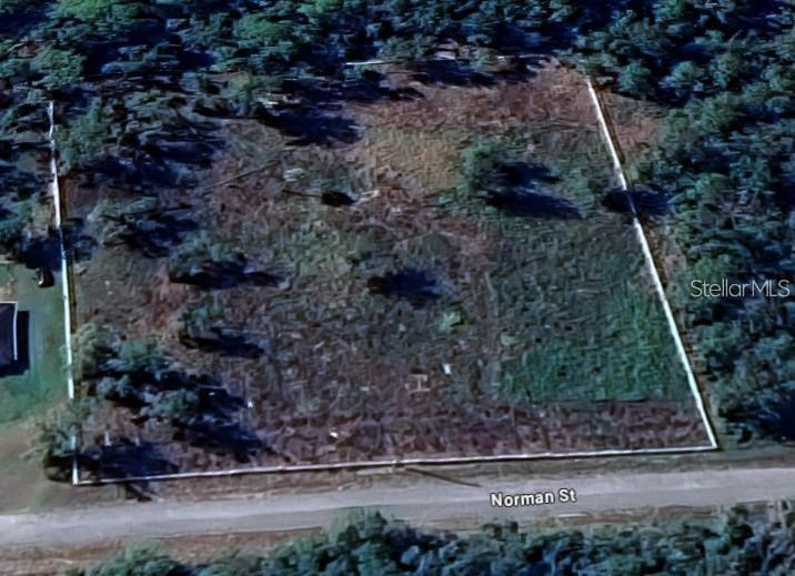 RIDGE MANOR ESTATE - Land